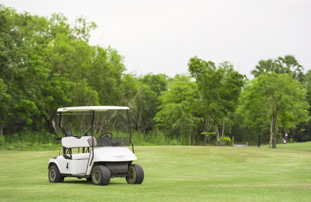 GREEN SPACES GREEN SPACES